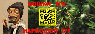 прущие крисы Новодвинск