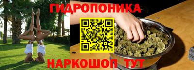 прущие крисы Новодвинск