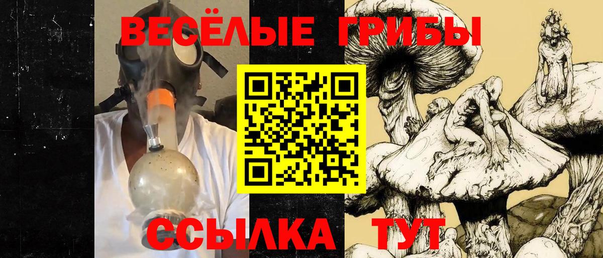наркота  Галлюциногенные грибы Psilocybine cubensis  Вход с VPN  Альметьевск 